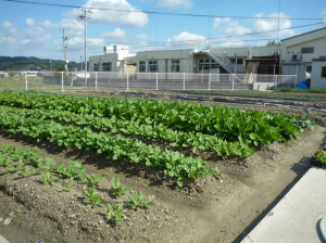 屋外活動
