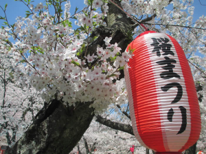 花見