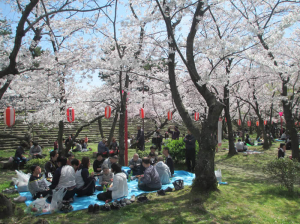 花見