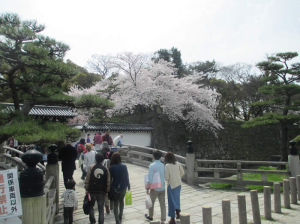 花見